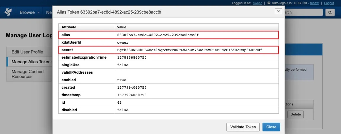 Alias token details showing the alias and secret values